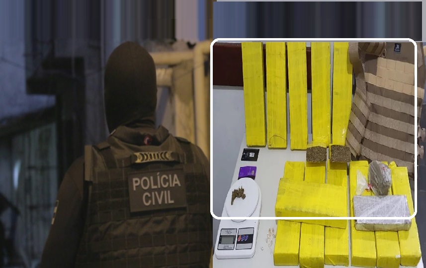 Polícia apreende 15 de maconha em Estância após denúncia anônima