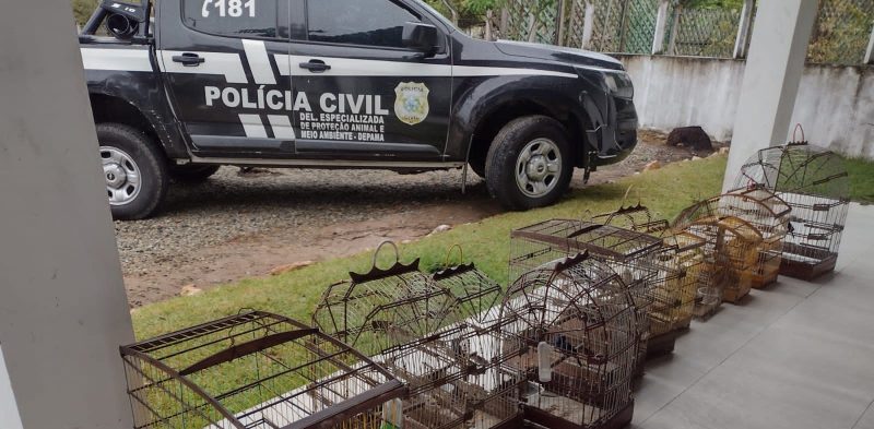 Polícia apreende aves silvestres mantidas em cativeiro