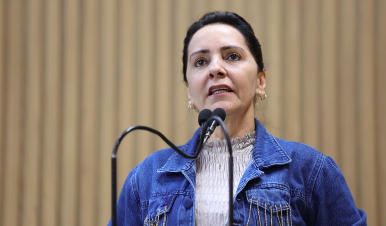 PL de Emília sugere Dia Municipal da Prematuridade