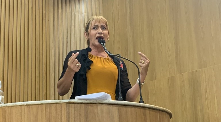 Linda Brasil denuncia os atos antidemocráticos