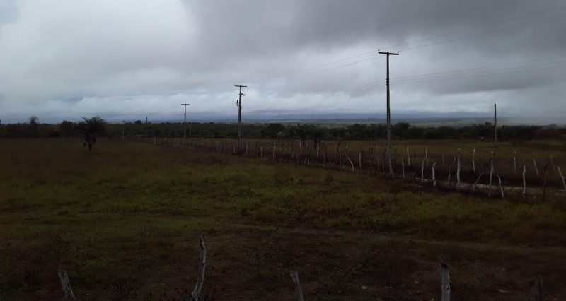 Último fim de semana de novembro terá chuvas leves e isoladas em todo o Estado