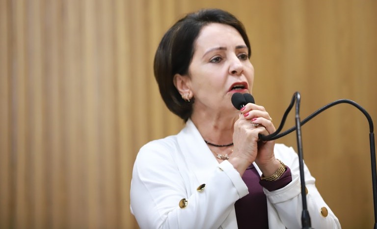 “Na cidade humana e do futuro, há bairros sem iluminação e saneamento básico”, ironiza Emília