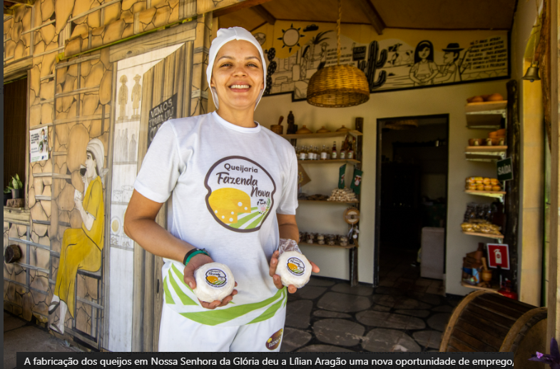 Regularização de pequenas queijarias gera mais desenvolvimento para Sergipe