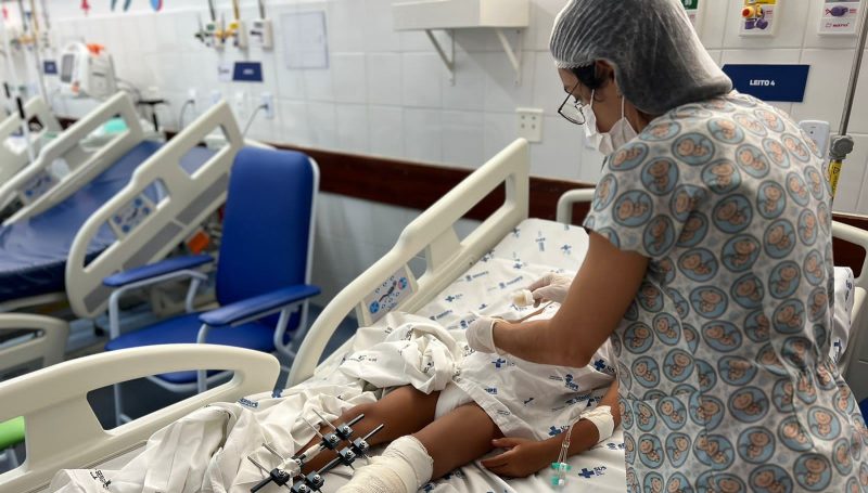 Hospital da Criança alerta para aumento de acidentes por mordedura de animais