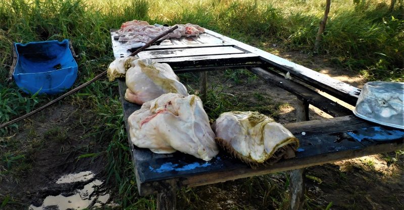 Polícia Civil desativa abatedouro clandestino em Sergipe