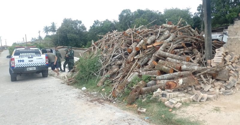 Polícia desativa depósito ilegal de madeira em Itabaiana