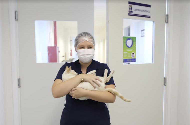 Programa Aju Animal assegura cuidados básicos de saúde para cães e gatos