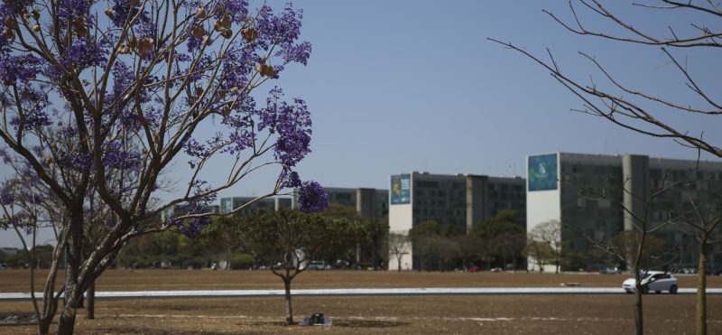 Participação feminina em cargos no governo federal mostra estagnação