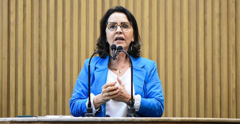 Emília denuncia caos no Instituto de Identificação na emissão de RG