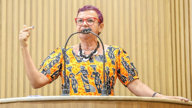 Vereadora Sonia Meire denuncia falta de transparência nas informações sobre o transporte coletivo