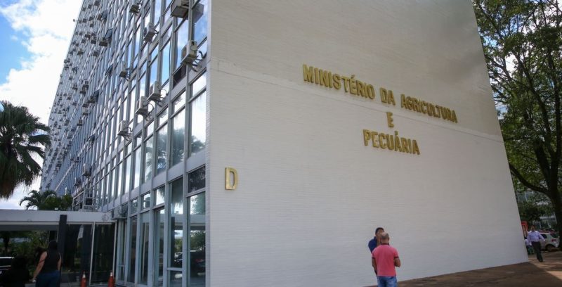 Minas Gerais registra primeiro caso de gripe aviária em pato