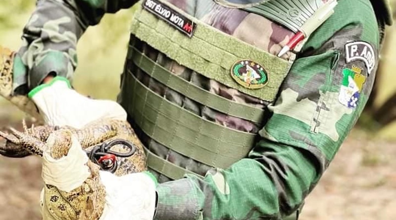 Polícia resgata jacaré em chácara na Zona de Expansão