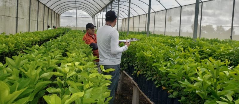 Fiscalizações da Emdagro evitam entrada de doenças e pragas em Sergipe