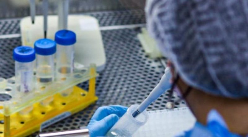 SES reforça orientações para prevenir casos de mormo