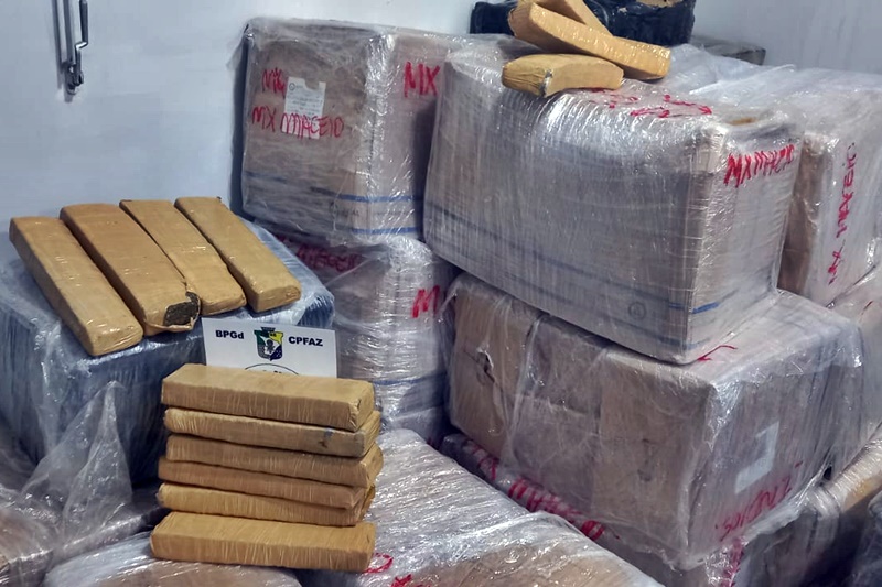 Polícia apreende cerca de uma tonelada de maconha em Nossa Senhora do Socorro