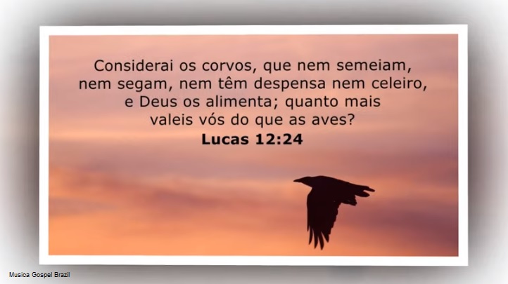 Invoquei o Senhor na angústia; o Senhor me ouviu, e me tirou para um lugar largo.