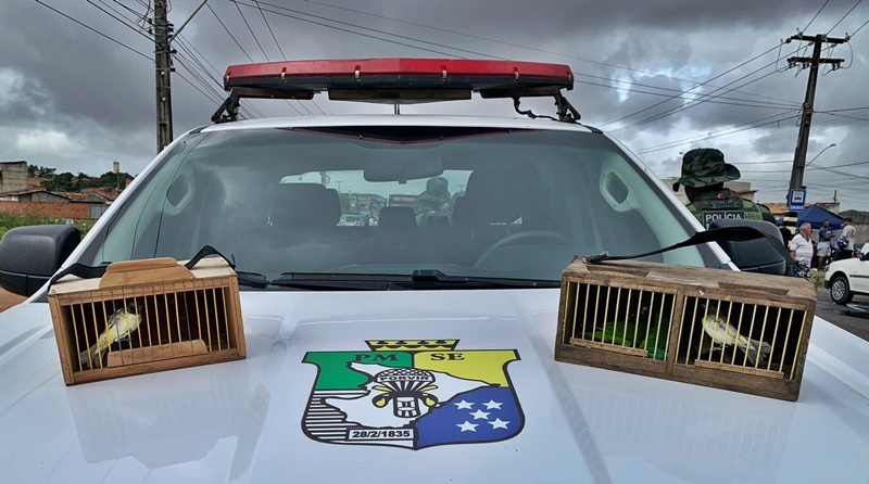 Polícia resgata aves silvestres em Feira das Trocas da capital