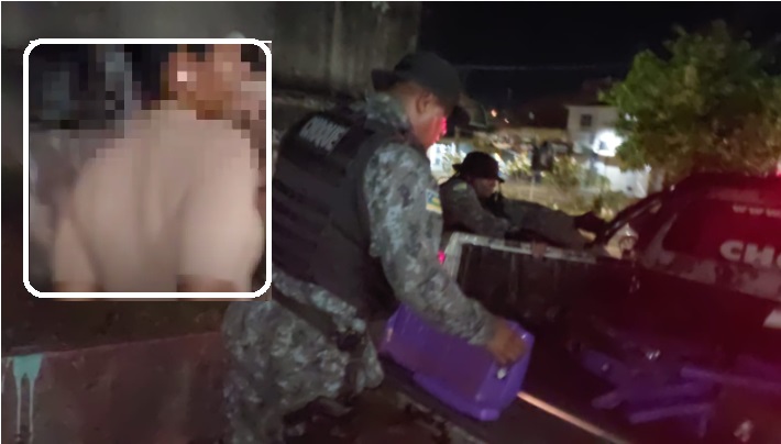 Batalhão de Choque prende mulher com mais de 90 kg de maconha em Socorro – VEJA O VÍDEO