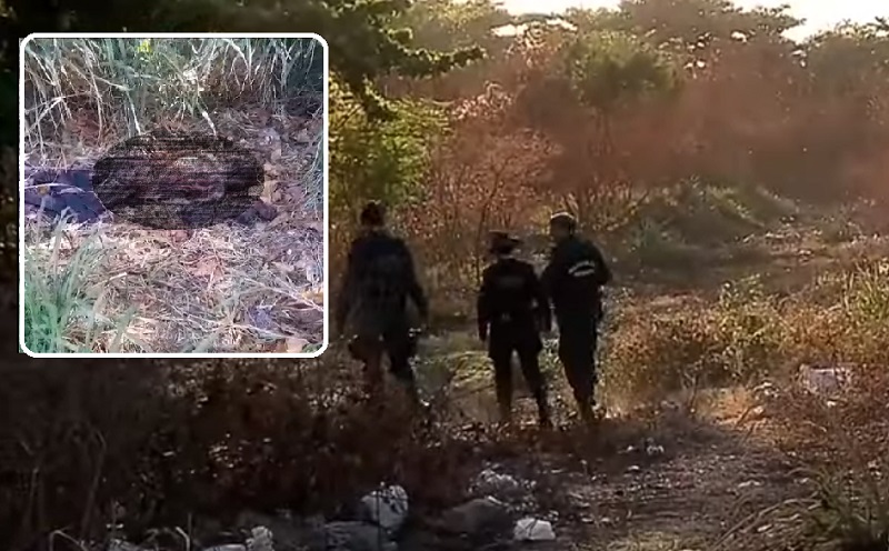 Corpo de homem é encontrado em decomposição dentro de matagal no Jabotiana