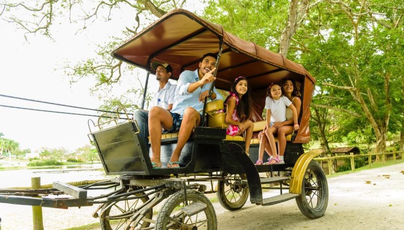 BoaLuz lança ação de Black Friday 2023 com dois tipos de ofertas; Confira