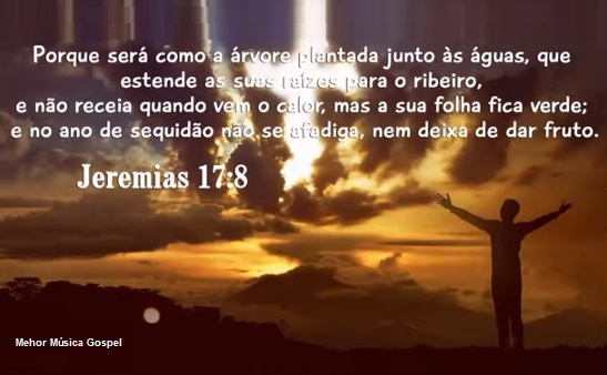 Ai dos que são sábios a seus próprios olhos, e prudentes diante de si mesmos!