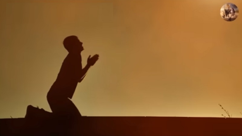 Vinde a mim, todos os que estais cansados e oprimidos, e eu vos aliviarei.