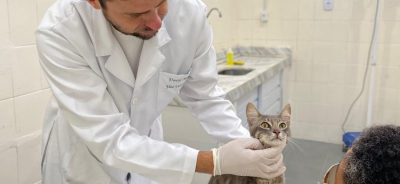 Governo de Sergipe inicia atendimentos do programa Pet Saúde