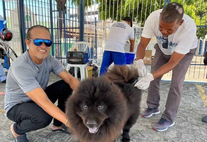 Campanha antirrábica terá segundo dia de postos fixos neste sábado, 25