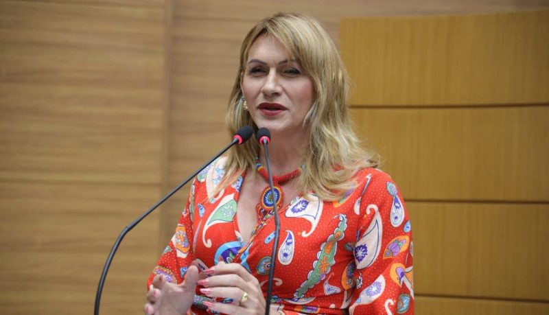 Linda Brasil pede realização de concurso público na Educação