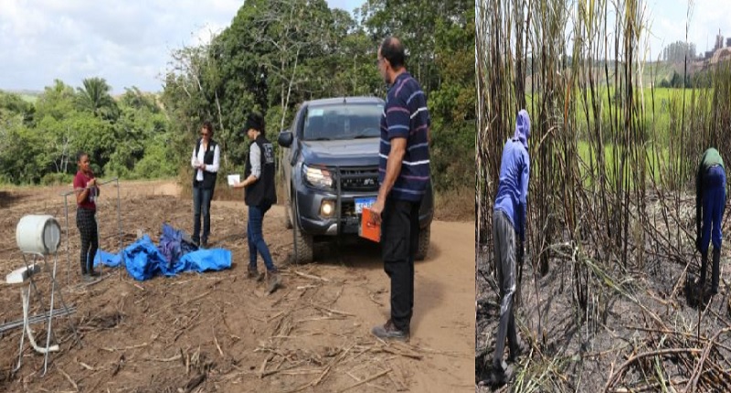MPT flagra trabalhadores de quatro Estados em péssimas condições de trabalho na Usina Taquari