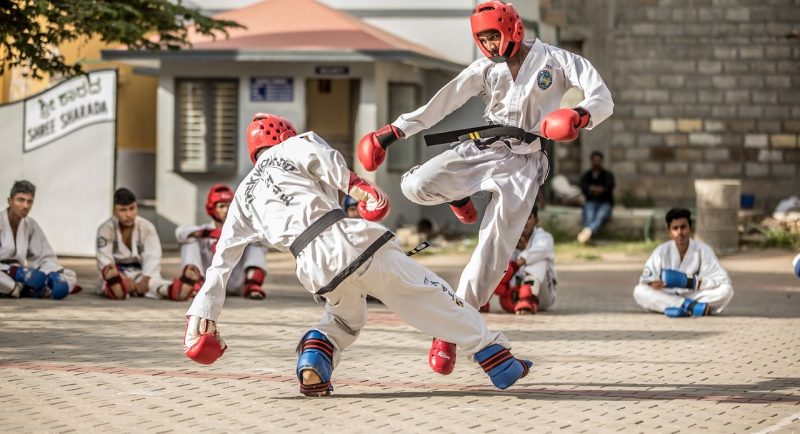 PL institui Dia Estadual do Taekwondo em 9 de dezembro