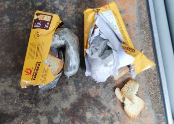 Mulher é presa ao tentar entrar no presídio com drogas escondida em biscoito