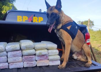 Radiopatrulha apreende 70kg de drogas em Sergipe