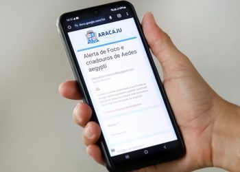 Combate à dengue: saiba como denunciar focos de Aedes aegypti