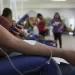 Estado de emergência por dengue é “improviso”, afirma especialista