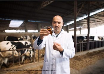 Sergipe terá a última vacinação contra a febre aftosa em abril de 2024