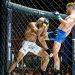 Ingressos para o Jungle Fight 124 já estão liberados para venda