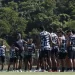 Botafogo recebe Atlético-GO no Nilton Santos pelo Brasileiro
