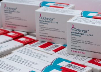 Sergipe recebe 14 mil doses da vacina contra a dengue