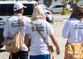 Segundo LIRAa aponta aumento no número de municípios com alto risco de infestação do Aedes aegypti