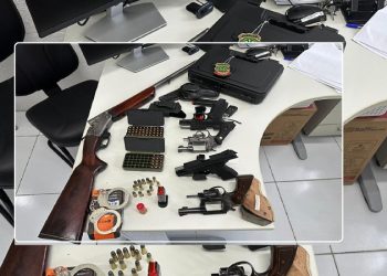 Armas de fogo e mais de 80 munições são apreendidas em Amparo do São Francisco