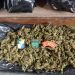 Polícia apreende mais de 16kg de maconha em Santa Luzia do Itanhy