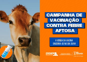 São Cristóvão: Prazo para vacinação contra febre aftosa vai até 30 de abril