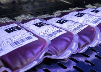 Hemose abre neste sábado para incentivar doação de sangue