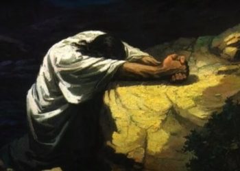 O tolo não tem prazer na sabedoria, mas só em que se manifeste aquilo que agrada o seu coração.