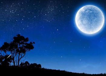 Cada pensamento se confirma com conselho e com bons conselhos se faz a guerra.