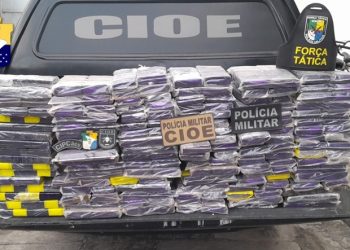 Polícia apreende mais de 130 quilos de maconha
