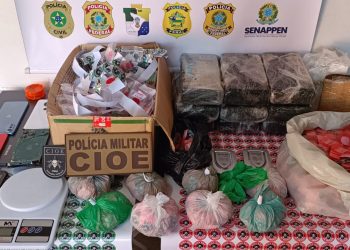 Integrante de facção criminosa em operação contra o tráfico de drogas é preso