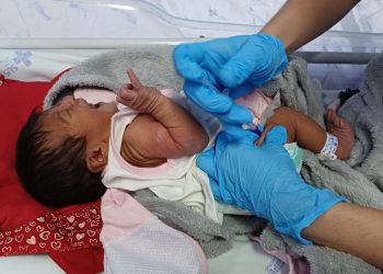 Maternidade Nossa Senhora de Lourdes vacina recém-nascidos por meio do Projeto Corujinha