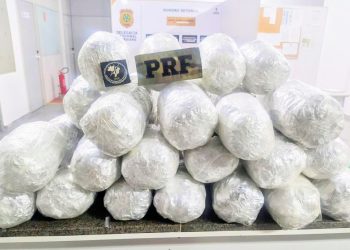 VEJA O VÍDEO: Suspeito de transportar drogas em ônibus interestadual é preso na BR-101